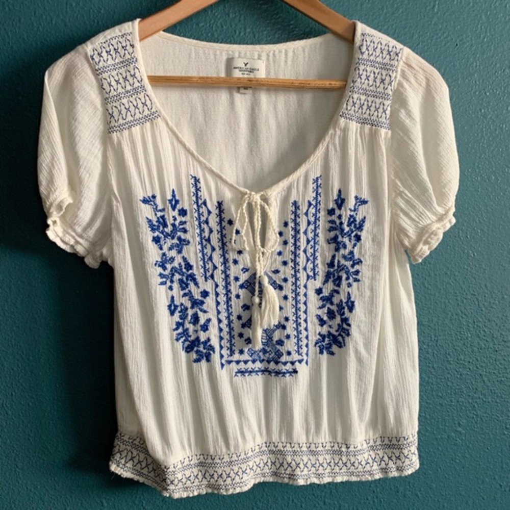 Blue Embroidered Crop Top
